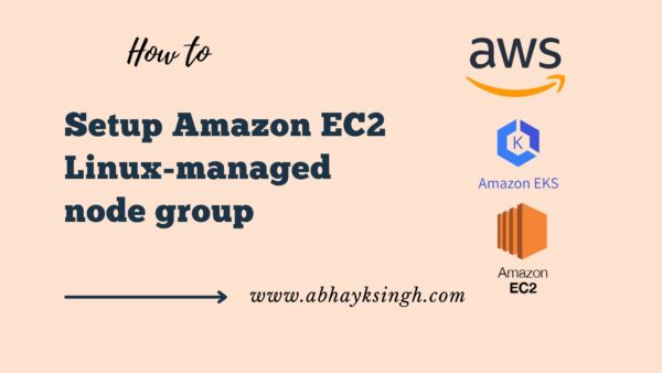 How to Setup Amazon EC2 Linux managed node group