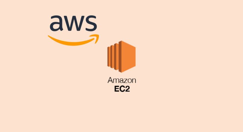 Automating EC2 Instance Creation with AWS CLI Script – A Step-by-Step Guide